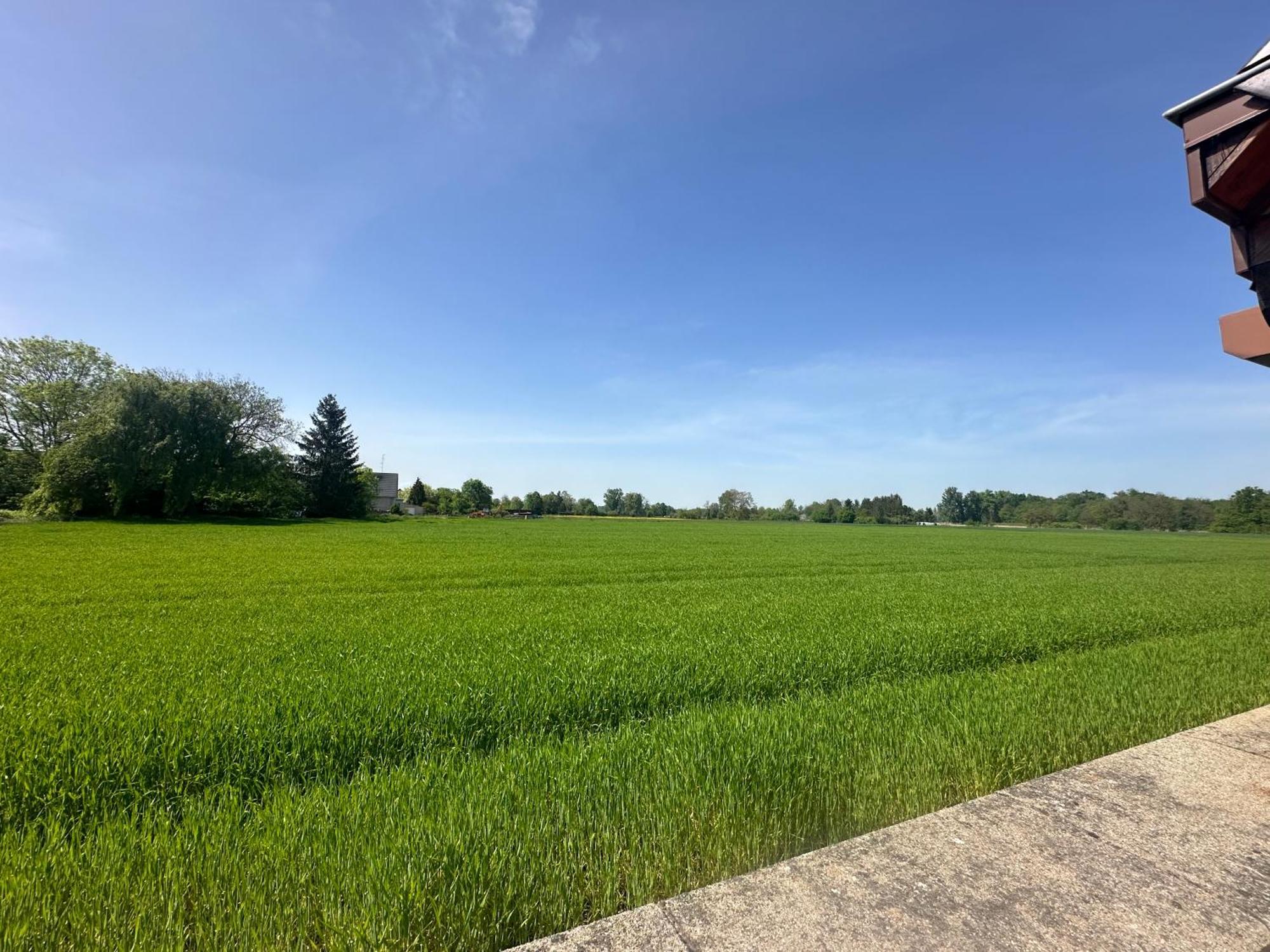 Apartmán Le Daubenland Daubensand Exteriér fotografie
